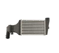 Intercooler THERMOTEC DAX001TT