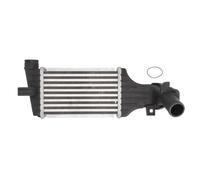 Intercooler THERMOTEC DAX006TT