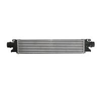 THERMOTEC DAX019TT Intercooler