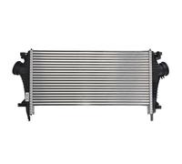 Intercooler THERMOTEC DAX024TT
