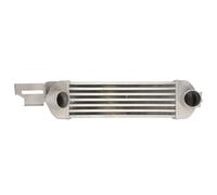 Intercooler THERMOTEC DAX031TT