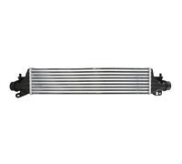 Intercooler THERMOTEC DAX036TT