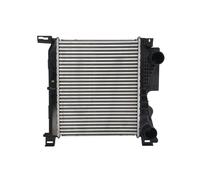 THERMOTEC DAY001TT Intercooler