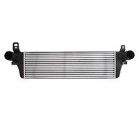 INTERCOOLER THERMOTEC VW AUDI SEAT SKODA DAW010TT