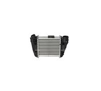 Intercooler Turbo Compatibile Per Audi A4 Avant 8E5 B6 8ED B7 8H7 8HE 8E2