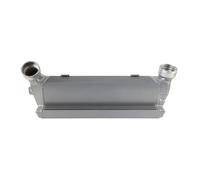 intercooler turbo Per BMW 2005-2013 325d/330d/335d E90 E92 E93 Tuning Diesel Intercooler Prestazioni(D'argento)