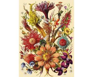 Interdruk - Puzzle Bouquet da favola - 1000 Pezzi