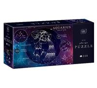 Interdruk - Puzzle Zodiaco - Acquario - 250 Pezzi
