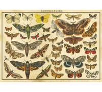 Interdruk - Puzzle Natura vintage - 2000 Pezzi