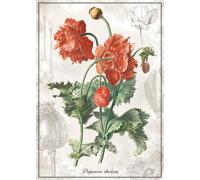 Interdruk - Puzzle Papavero botanico - 1000 Pezzi