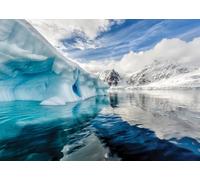 Interdruk Puzzle Viaggio intorno al mondo: Antartide 1000 pezzi