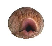 Interessanti facce di scimmia Riutilizzabile Impermeabile Lavabile Regolabile Adatto a donne Tutte le lunghezze di capelli Cuffia da doccia