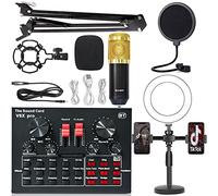 Interfaccia audio con DJ Mixer e scheda audio, scheda audio live set v8x scheda audio live BM800 Microfono Computer Registrazione del cellulare K Song Set Per lo studio di registrazione DJ(Color:15)