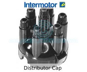 Intermotor - Calotta Spinterogeno, Rotore Tappo - 44890 - Qualità OE