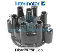 Intermotor - Calotta Spinterogeno, Rotore Tappo - 45880 - Qualità OE