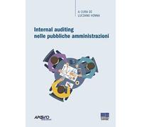 Internal auditing nelle pubbliche amministrazioni