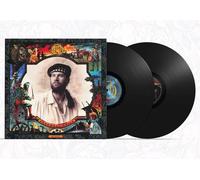 Internal Exile - Gatefold 2LP
