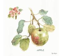 International Graphics - Immagine finita - Lisa, Audit - ''Orchard Bloom I''- 30 x 30 cm - Stampa diretta su acrilico