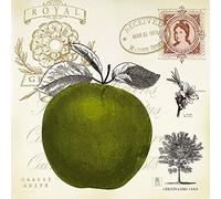 International Graphics - Immagine finita - Studio Mousseau - ''Apple Notes''- 30 x 30 cm - Stampa diretta su acrilico