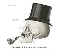 International Graphics - Immagine finita - Sue, Schlabach - ''Dandy Bones II''- 30 x 30 cm - Stampa diretta su acrilico