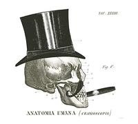 International Graphics - Immagine finita - Sue, Schlabach - ''Dandy Bones III''- 30 x 30 cm - Stampa diretta su acrilico