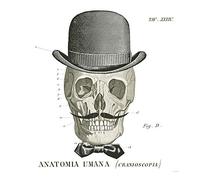 International Graphics - Immagine finita - Sue, Schlabach - ''Dandy Bones IV''- 30 x 30 cm - Stampa diretta su acrilico