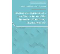 International Organisations, Non-State Actors, and the Formation of Customary International Law