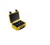 International Type 3000 NEW