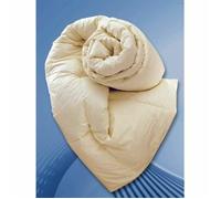 Interno Vera Piuma D'Oca 70% Piumino 30% Piumette Bianco o Panna Made in Italy