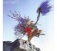 Interpose - Memories in The Wind