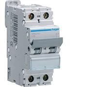 Interruptor automático magnetotérmico serie NR, 2P, 10A, curva C, 25KA