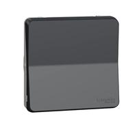 Interruptor bipolar IP55 Gris