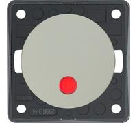 Interruttore a 2 poli berker integro con led rosso acciaio inox opaco