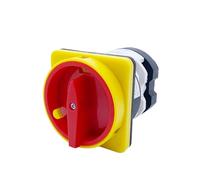 Interruttore a camme 50A YMZ12-50/2GS Lucchetto di sicurezza 690V 2 poli Controllo di interruzione dell'alimentazione 2 posizioni Commutatore rotante
