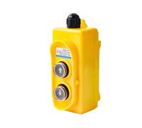 Interruttore a pulsante di guida COB-21W Controllo diretto 5A 220V Tensione su e giù Paranco elettrico impermeabile alla polvere