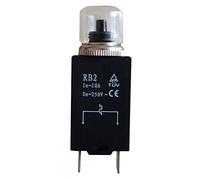 Interruttore a pulsante di protezione termica RB2 da 2 pezzi Interruttore di circuito Protezione da sovraccarico Protezione da sovracorrente CA 250 V 10 A.