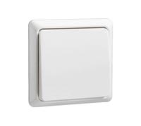 INTERRUTTORE A PULSANTE ELSO Elso bianco illuminato 512114