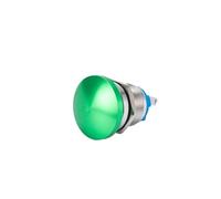 Interruttore a pulsante in metallo da 16/19/22 mm, impermeabile, momentaneo, con vite di ripristino, rosso, verde, blu, testa a fungo(19mm Green)