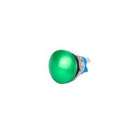 Interruttore a pulsante in metallo da 16/19/22 mm, impermeabile, momentaneo, con vite di ripristino, rosso, verde, blu, testa a fungo(16mm Green)