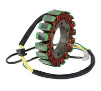 Interruttore accensione 21003-1320 Bobina Accensione Motocicletta Statore Rotore Motore Statori Generatore Accessori Per ZX900 Per Ninja ZX-9R 1998-1999