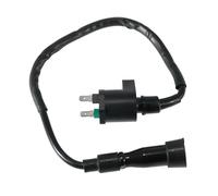 Interruttore accensione 30500-272-000 Bobina Accensione Motorino Avviamento Motociclette Per Adly ATV 320 Canyon 280 Canyon 300 Crossover