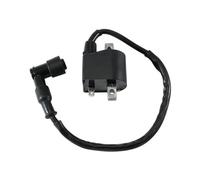 Interruttore accensione 33410-48710 Bobina Accensione Avviamento Motore Motociclette Per Suzuki AX100 AX115 JR80 RMX50 SMX50 TS50 TS50X TS125 TS125ER
