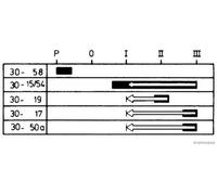 Interruttore di accensione/avviamento HERTH+BUSS ELPARTS 70596029