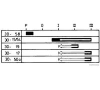 Interruttore accensione avviatore 70596034 HERTH+BUSS ELPARTS