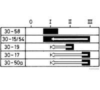 Interruttore di accensione/avviamento HERTH+BUSS ELPARTS 70596036