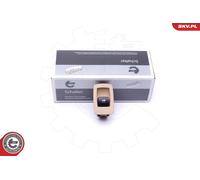 Interruttore, Alzacristallo posteriore Sx per BMW 3 X3 X5 X6