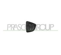 PRASCO FT030WS01 Interruttore, Alzacristallo