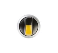 Interruttore attuatore 2 posizioni giallo con RMQ titanio 216829
