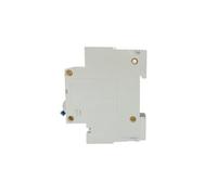 Interruttore automatico 1P 2P 12V 24V CC 36V 48V 60V 72V 96V 120V Celle solari Interruttore automatico batteria camper 80A 100A 125A 150A 200A 250A(125A)