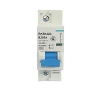 Interruttore automatico 1P 2P 12V 24V CC 36V 48V 60V 72V 96V 120V Interruttore automatico batteria 80A 100A 125A 150A 200A 250A(125A)